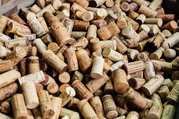 Weinprobe beim Winzer