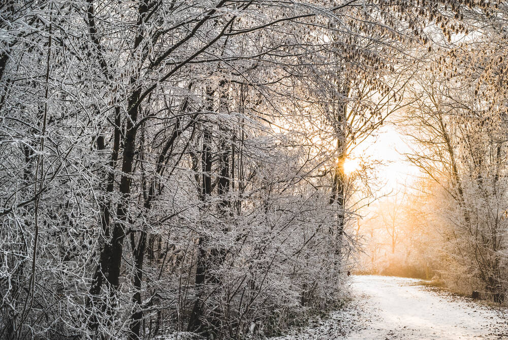 Winterzeit...